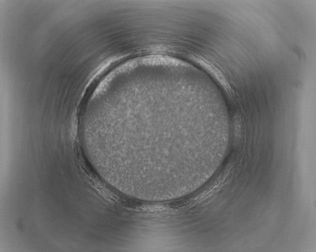 X0000115401023200912151516