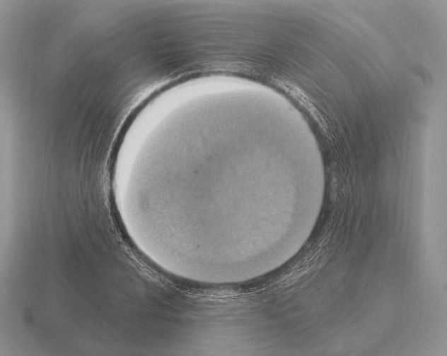 X0000115401024200912151516