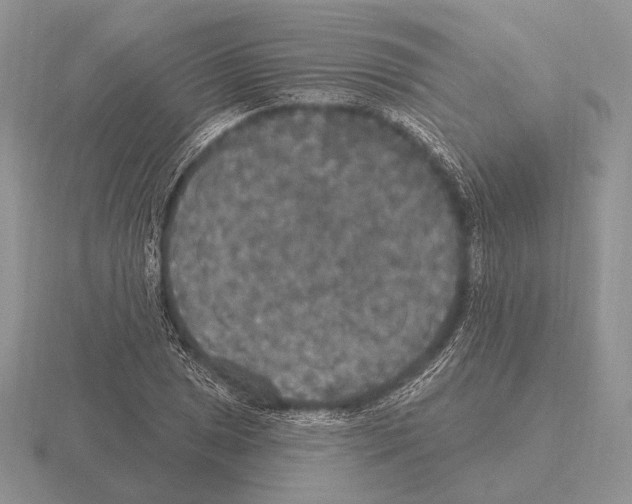 X0000115401025200912151516