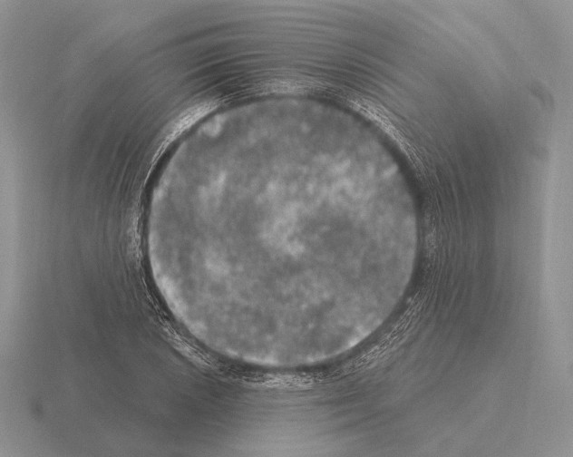 X0000115401026200912151516