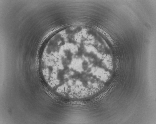 X0000115401027200912151516