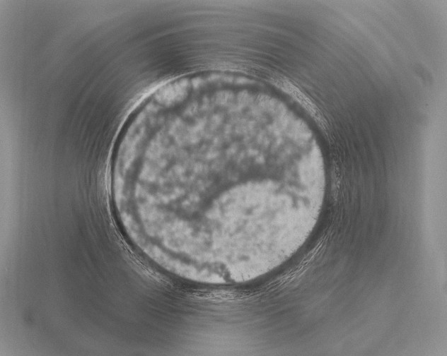 X0000115401028200912151516