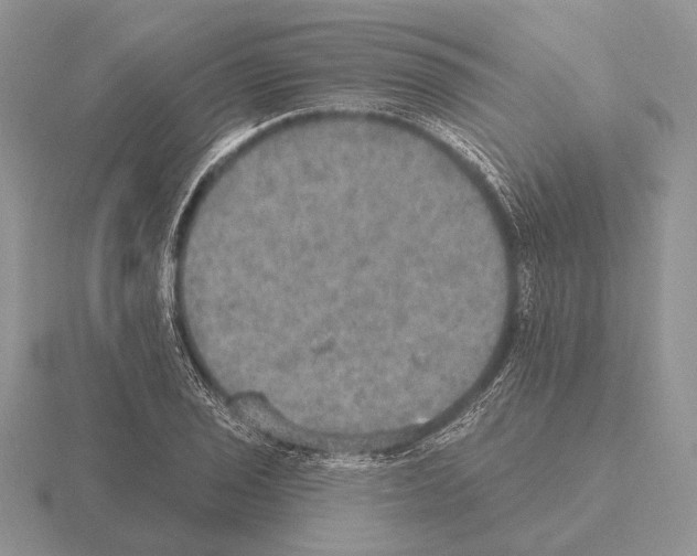 X0000115401029200912151516