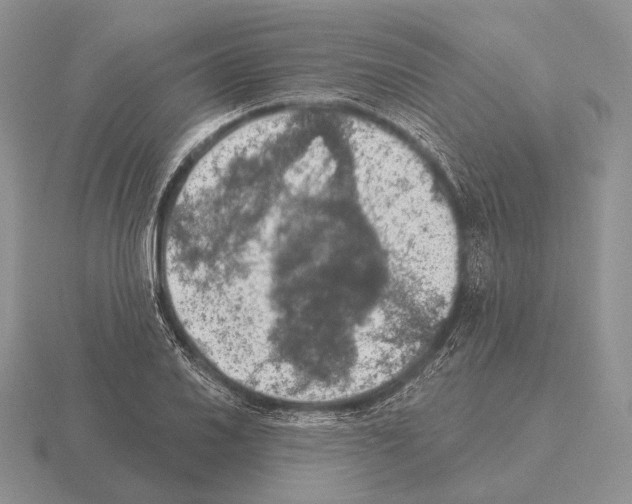 X0000115401030200912151516