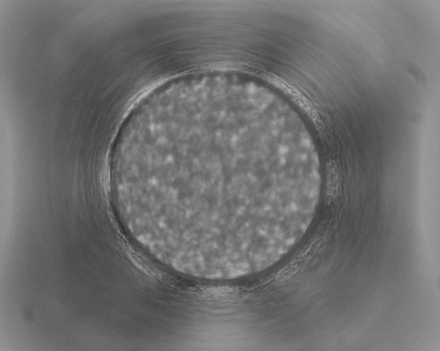 X0000115401031200912151516