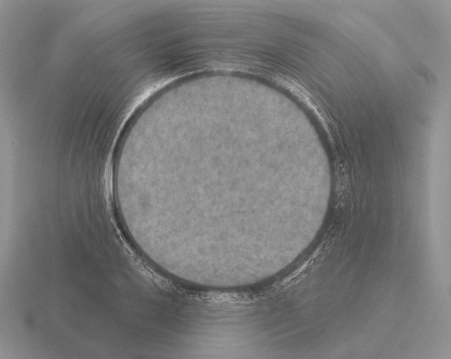 X0000115401032200912151516