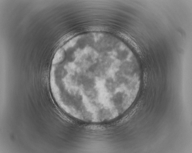 X0000115401033200912151516