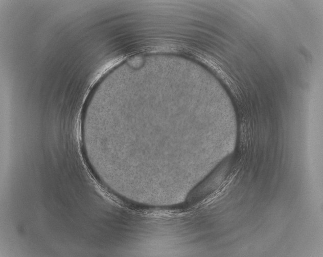 X0000115401034200912151516