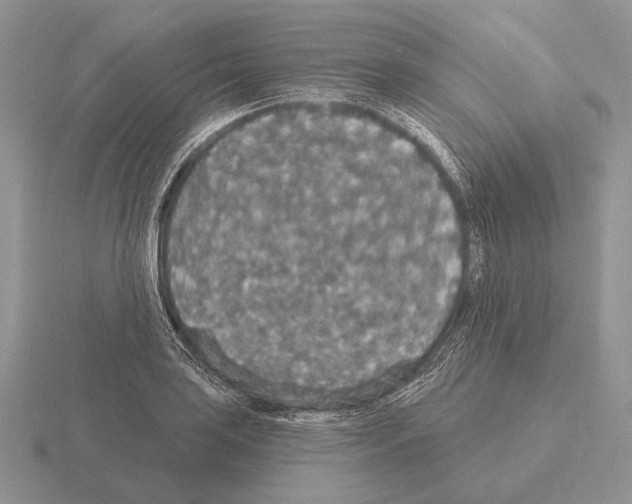 X0000115401035200912151516