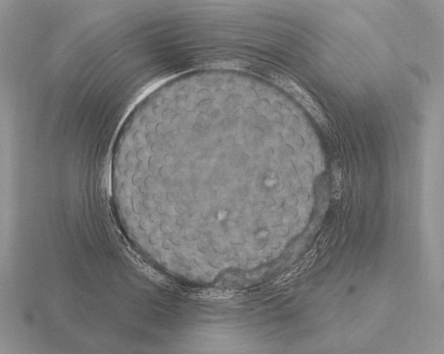 X0000115401036200912151516