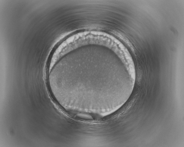 X0000115401037200912151516