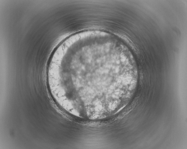 X0000115401038200912151516