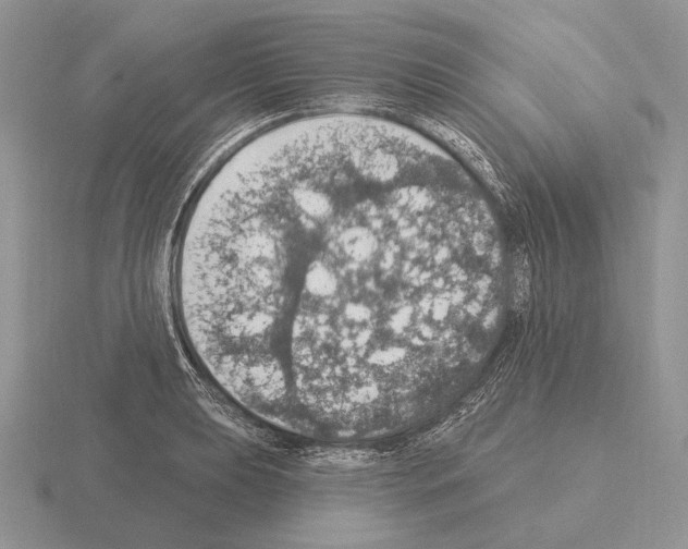 X0000115401039200912151516