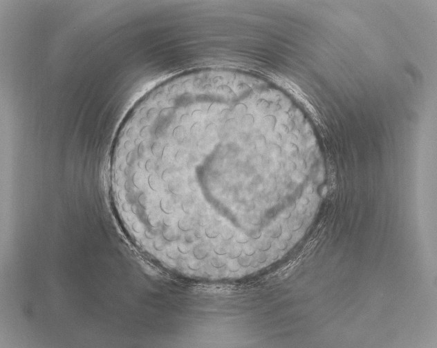 X0000115401040200912151516