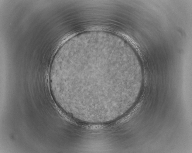 X0000115401041200912151516