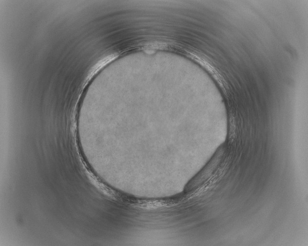 X0000115401042200912151516