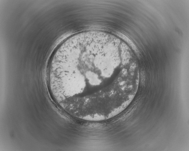 X0000115401043200912151516