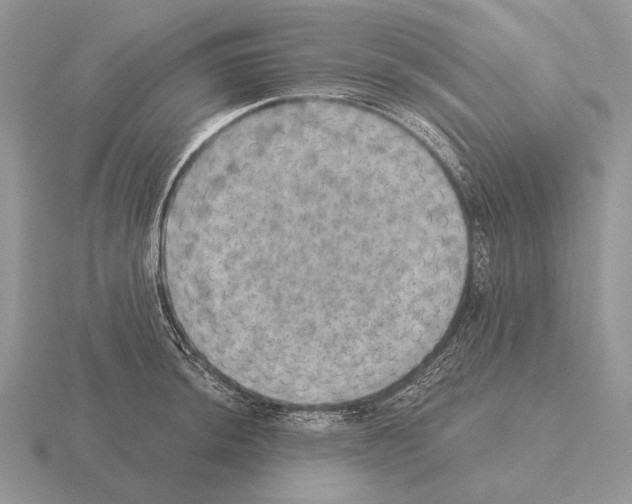 X0000115401044200912151516