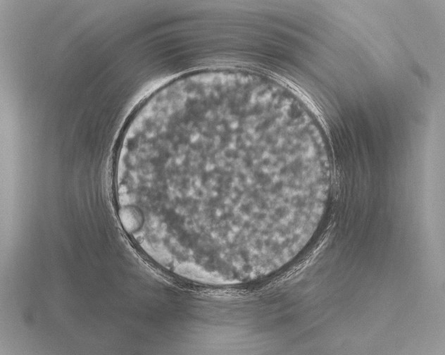 X0000115401045200912151516