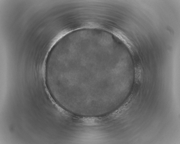 X0000115401046200912151516