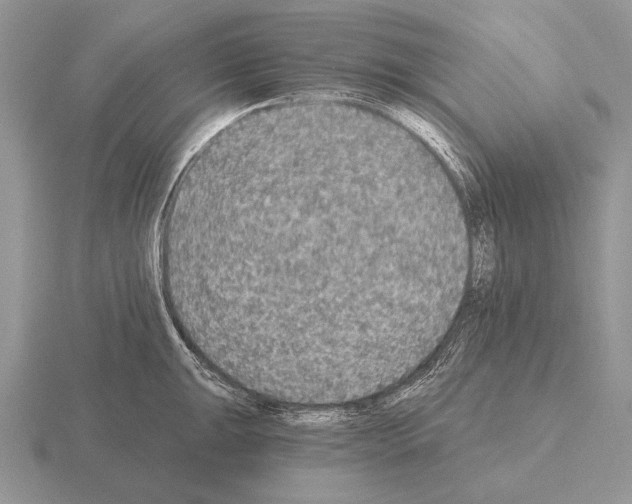 X0000115401047200912151516