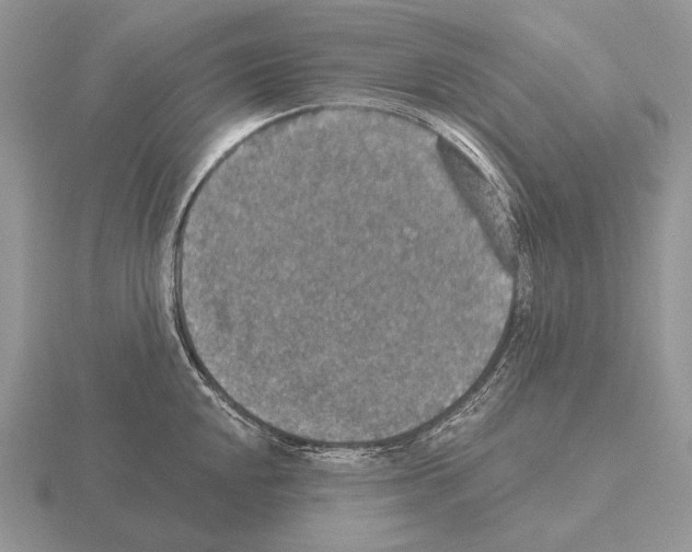 X0000115401048200912151516