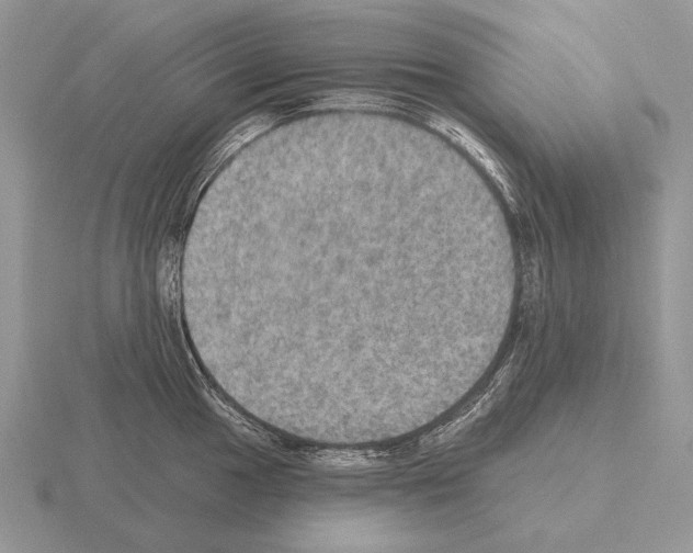 X0000115401049200912151516