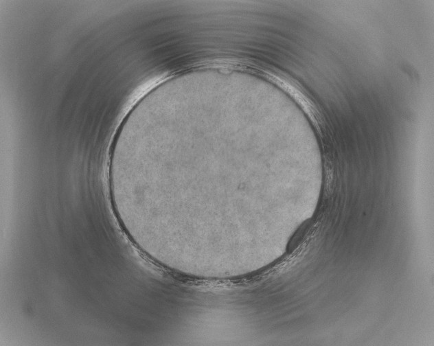 X0000115401050200912151516