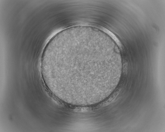 X0000115401051200912151516