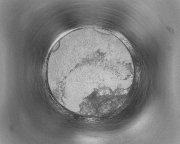 X0000115401052200912151516