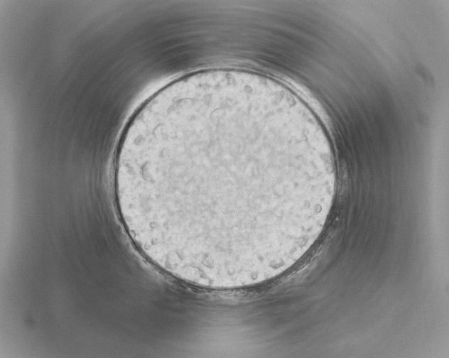 X0000115401053200912151516