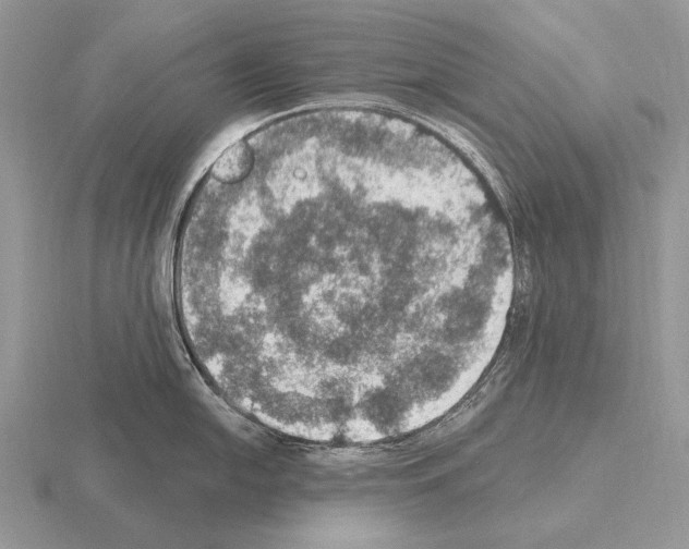 X0000115401054200912151517