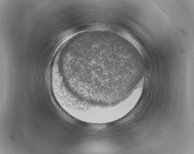 X0000115401055200912151517