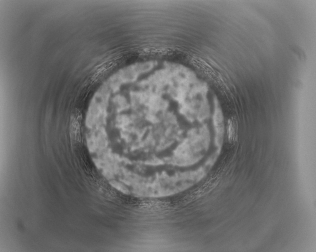 X0000115401059200912151516