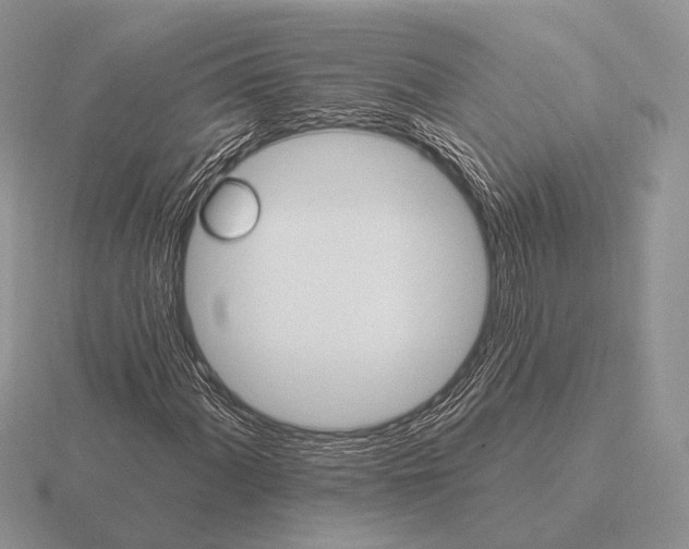 X0000115401060200912151516