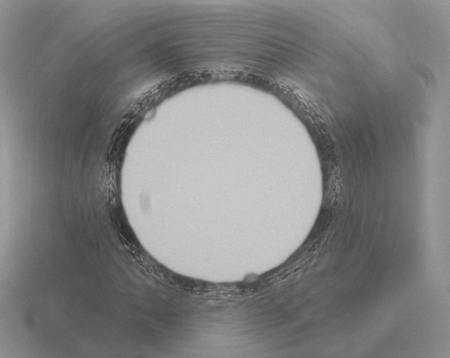 X0000115401062200912151516