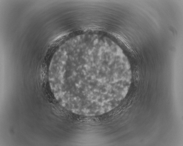 X0000115401063200912151516