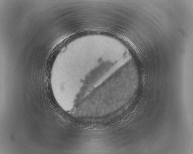 X0000115401064200912151516