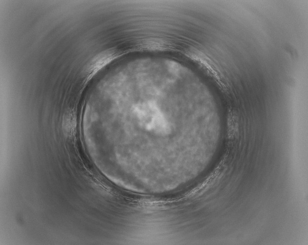 X0000115401065200912151516