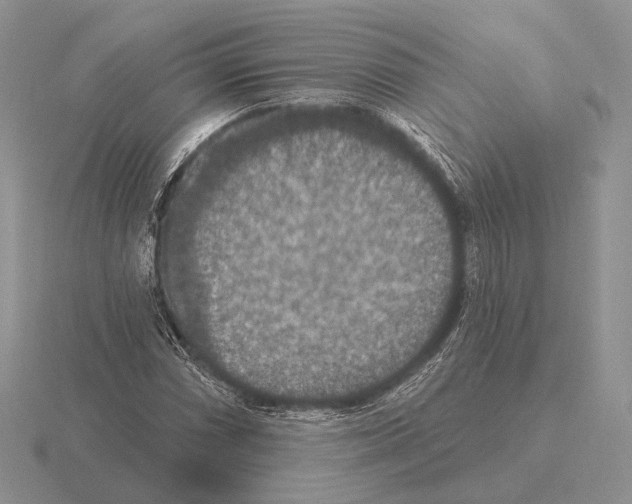 X0000115401066200912151516