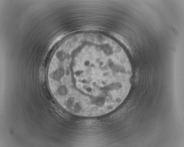 X0000115401067200912151516