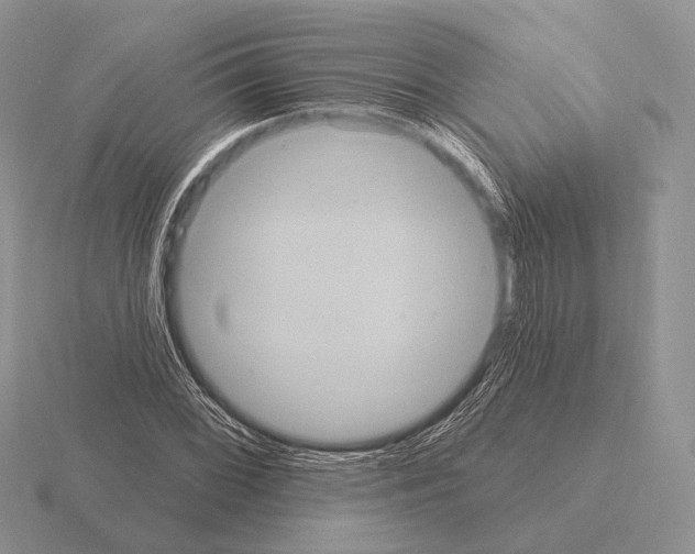 X0000115401068200912151516