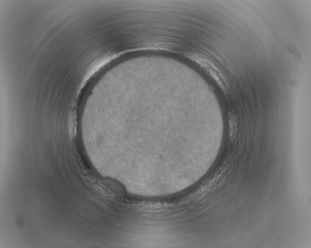 X0000115401069200912151516