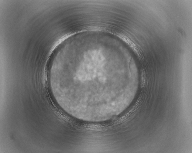 X0000115401070200912151516