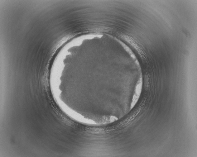 X0000115401071200912151516