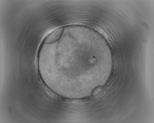 X0000115401072200912151516