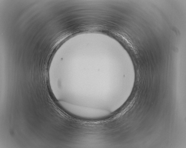 X0000115401073200912151516