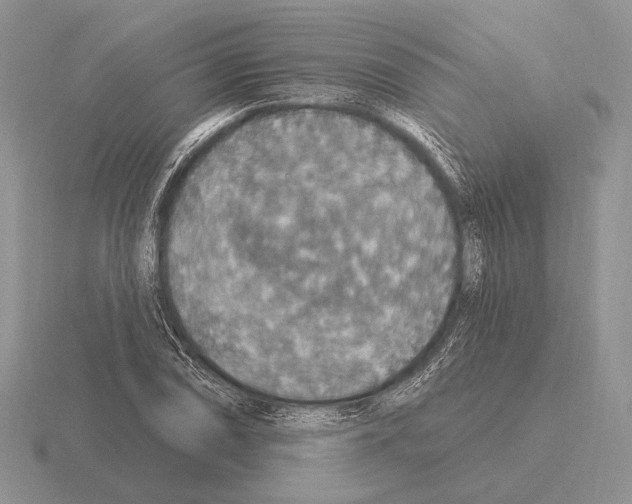 X0000115401074200912151516