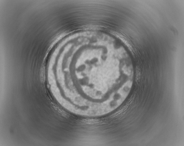 X0000115401075200912151516