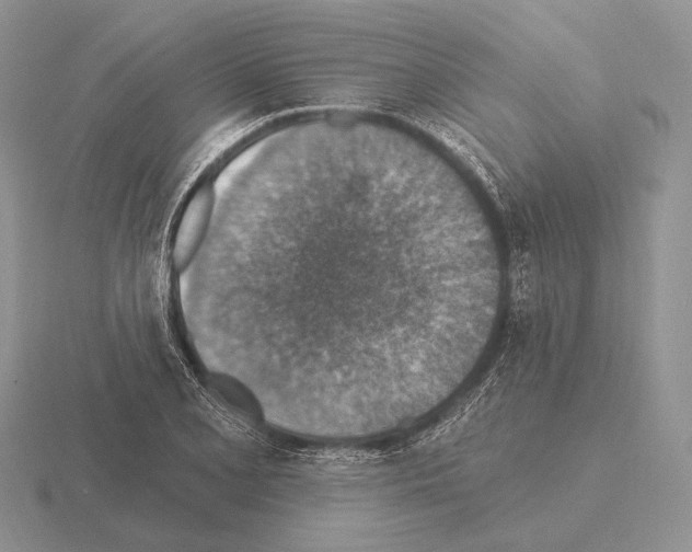 X0000115401077200912151516